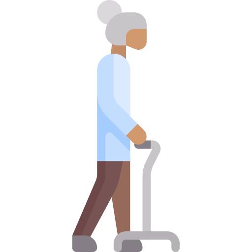 Walking stick