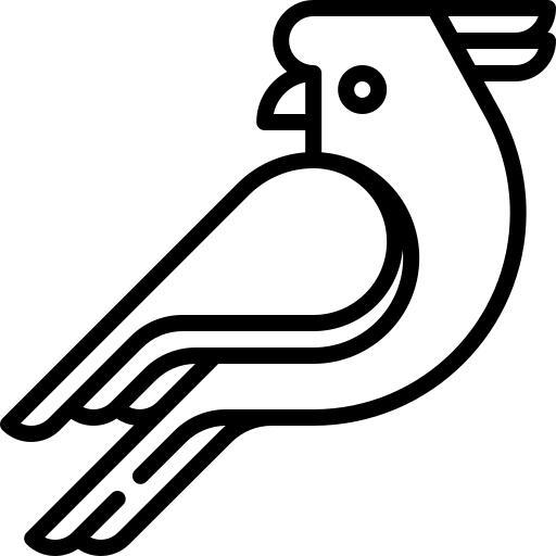 美冠鹦鹉