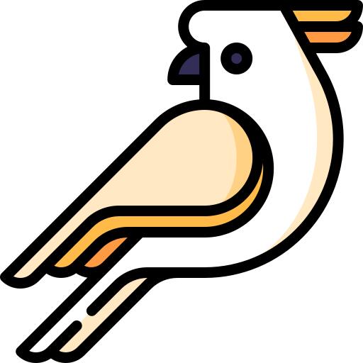 美冠鹦鹉