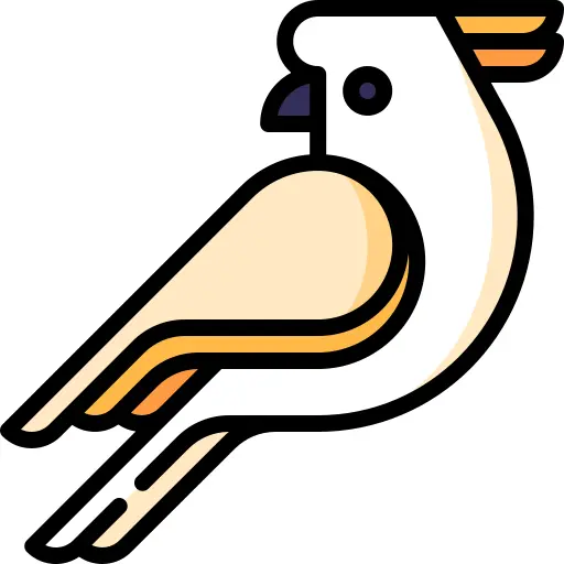 Cockatoo