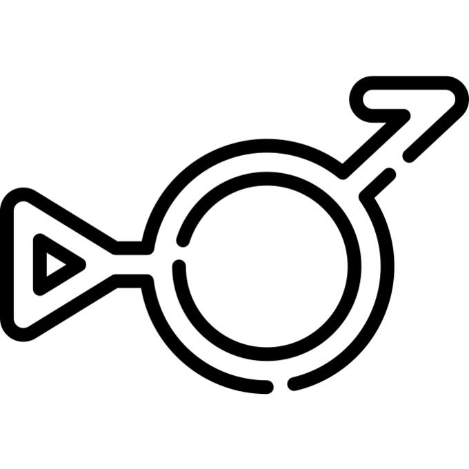 Bigender