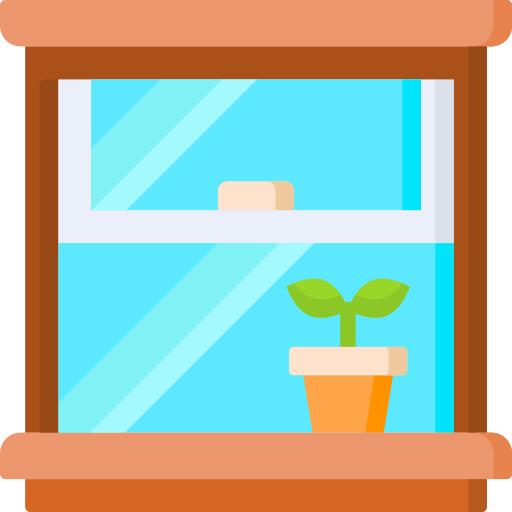 Window