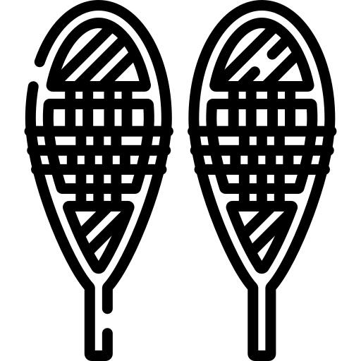 Snowshoes