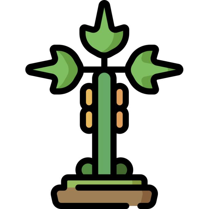 Papaya