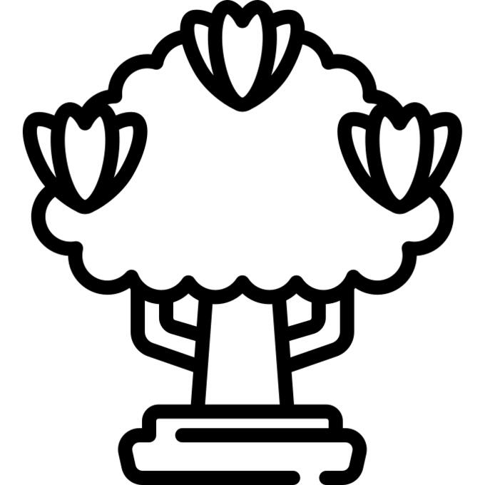 木兰