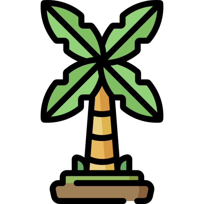 棕榈树