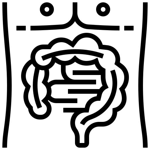 Intestine