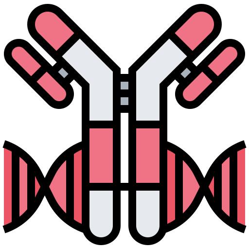 Antibodies