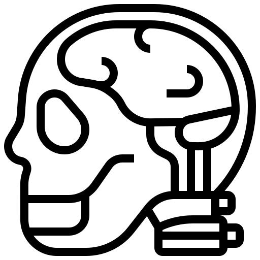 Human brain