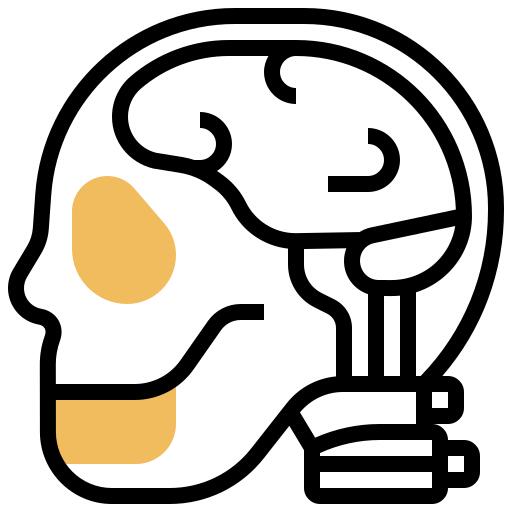 Human brain