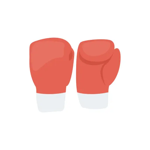 Boxing gloves