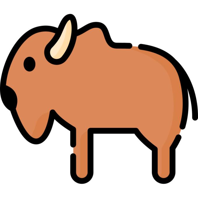 Bison