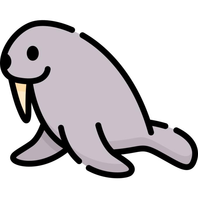 Walrus