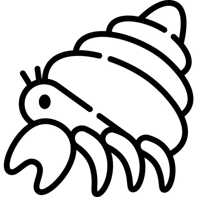 Hermit crab