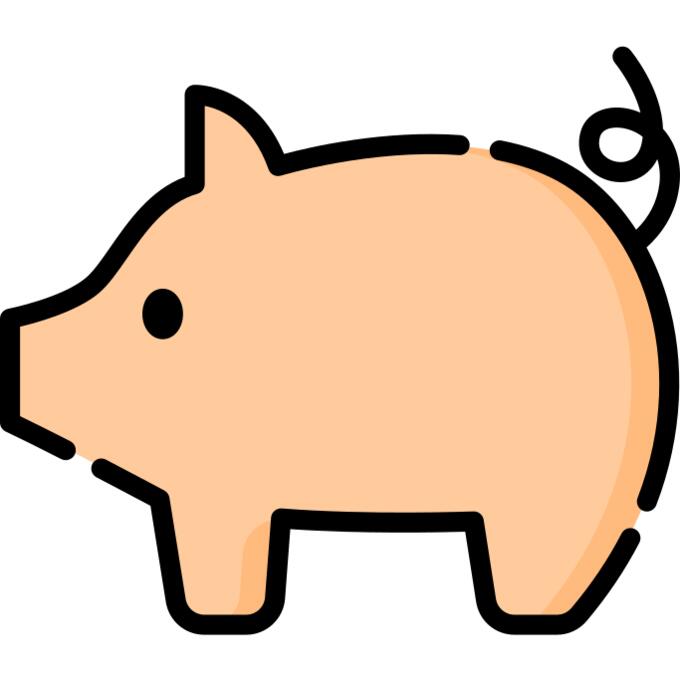 Pig