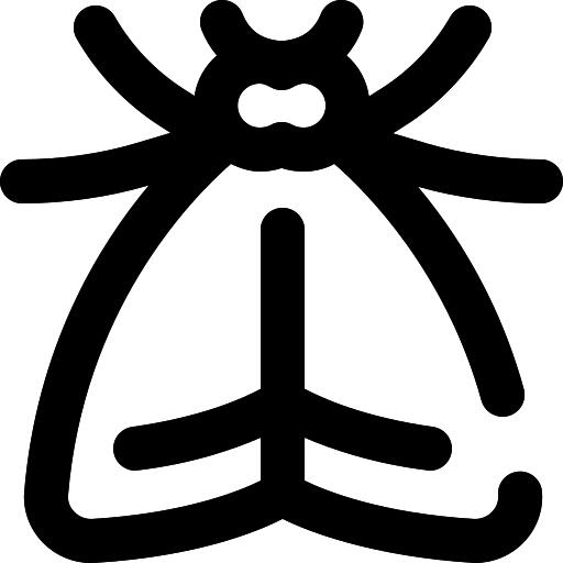 Moth