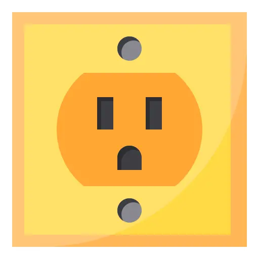 Plug