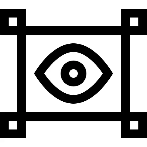 Vision