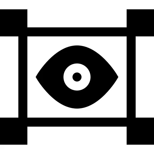 Vision