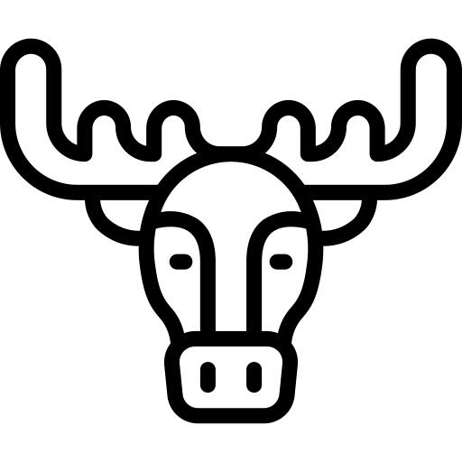 Moose