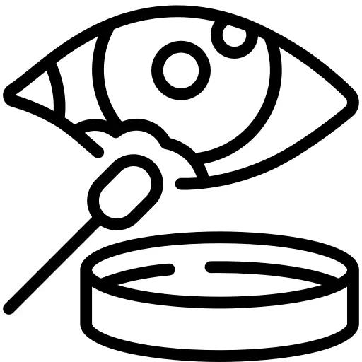 眼睛