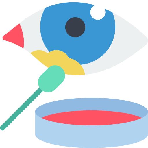 Eye
