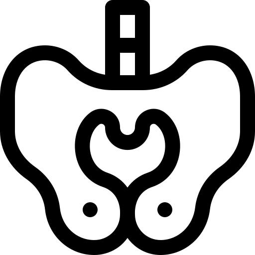 Pelvis