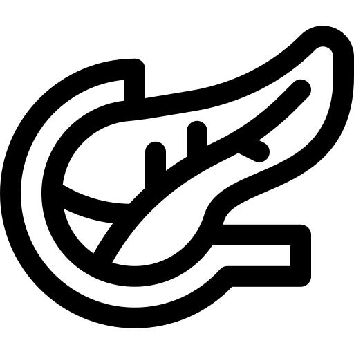 Pancreas
