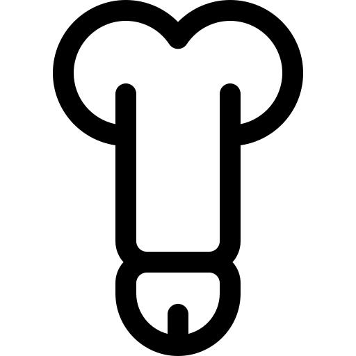 阴茎