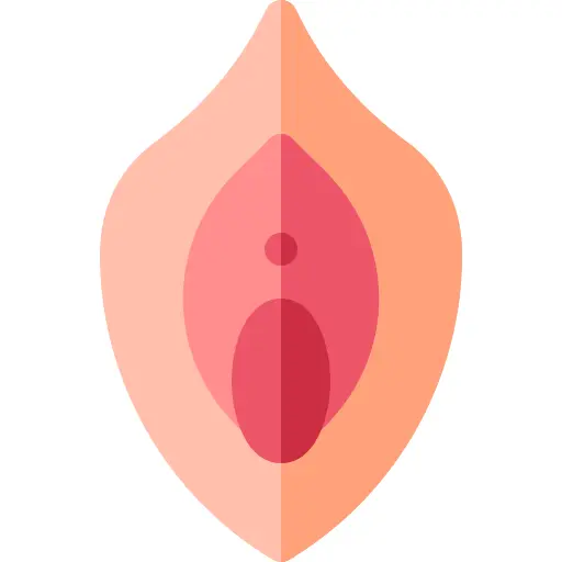 Vagina