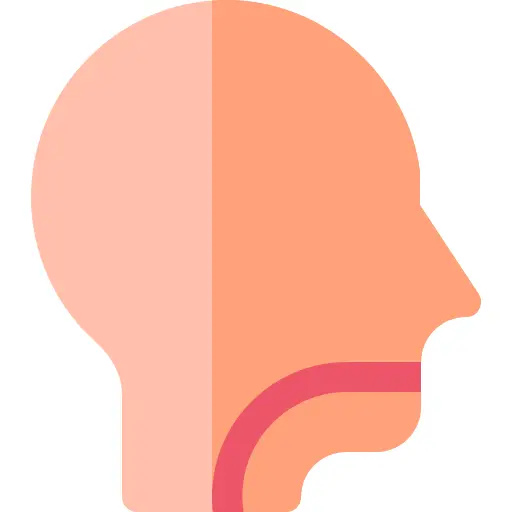 Throat
