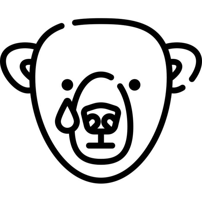 熊