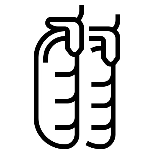豌豆