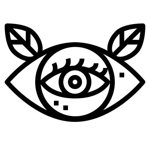 眼睛