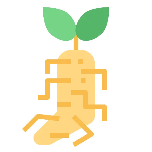 参