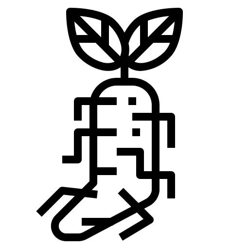 参