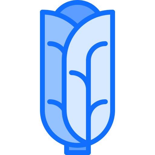 卷心菜