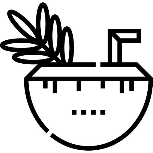 椰子饮料