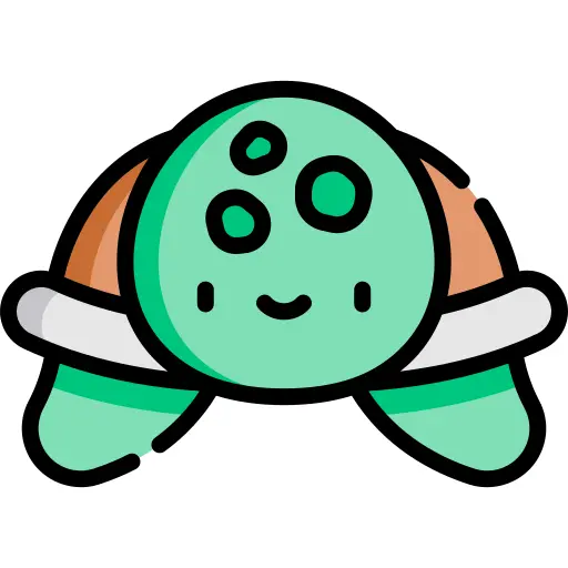Turtle