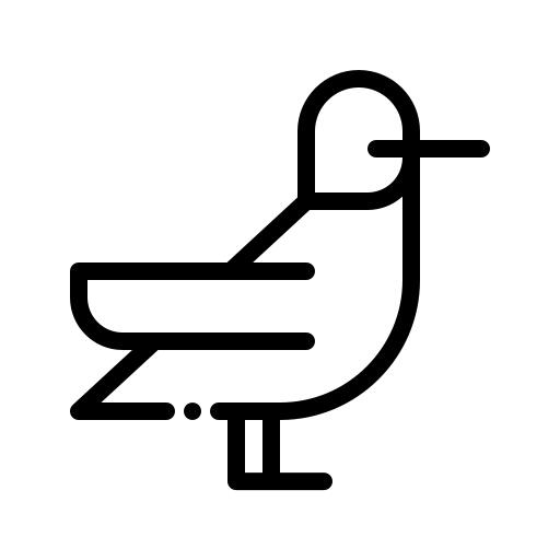 Humming bird