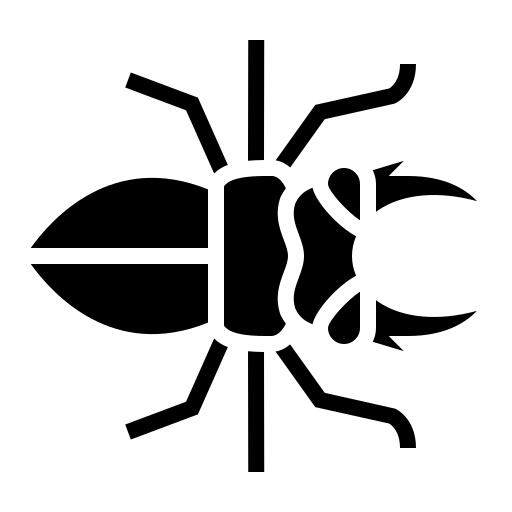 Beetle