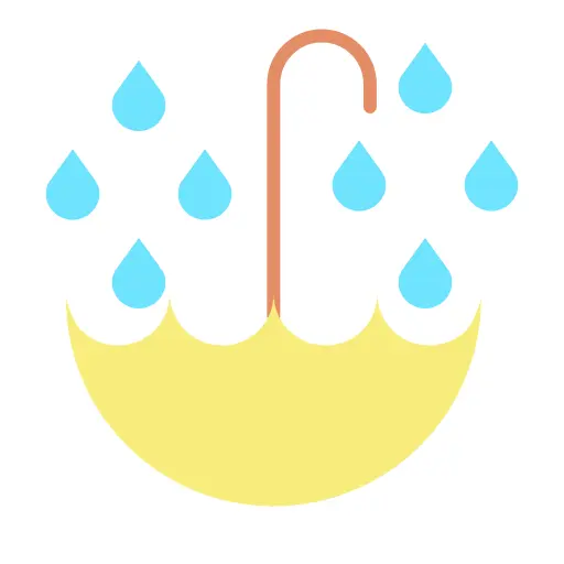 雨
