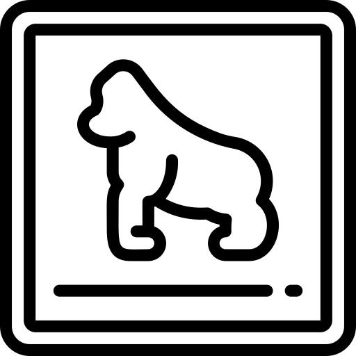 大猩猩