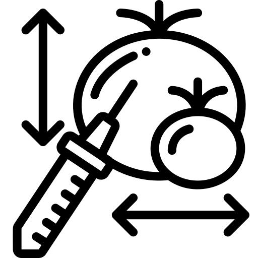 转基因食品