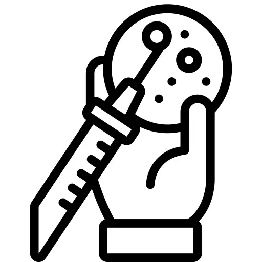 实验