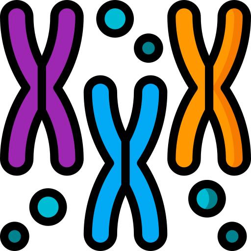 Chromosomes