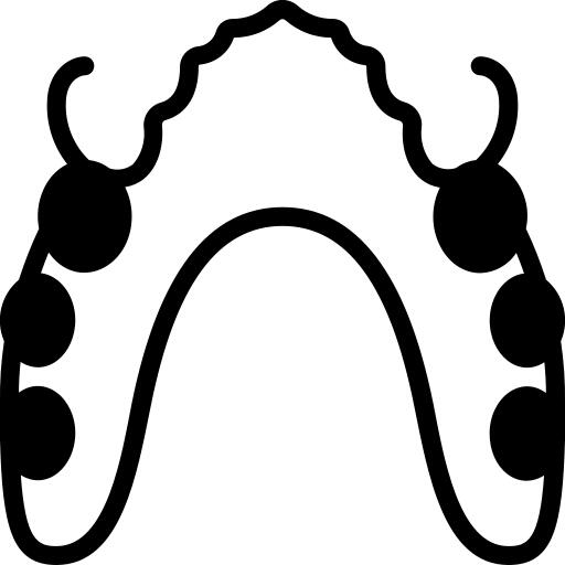 Teeth