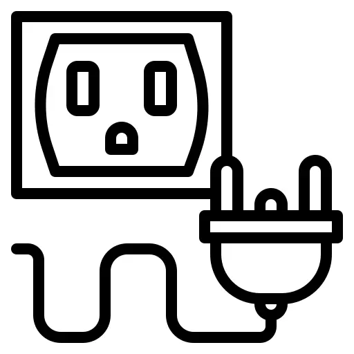 Plug