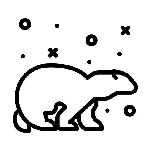Polar bear