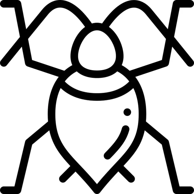 Bug